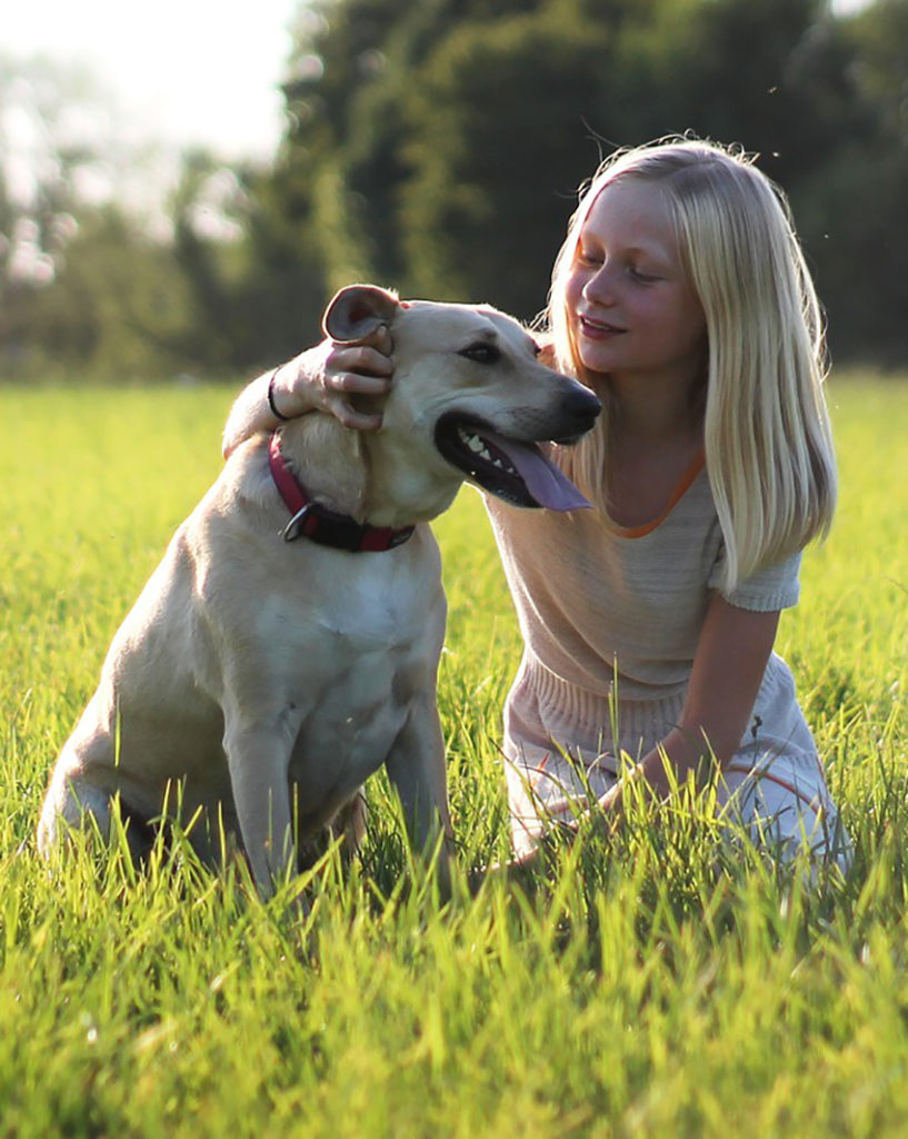 Programme d'Éducation à la Connaissance du Chien et au Risque d'Accident par Morsures